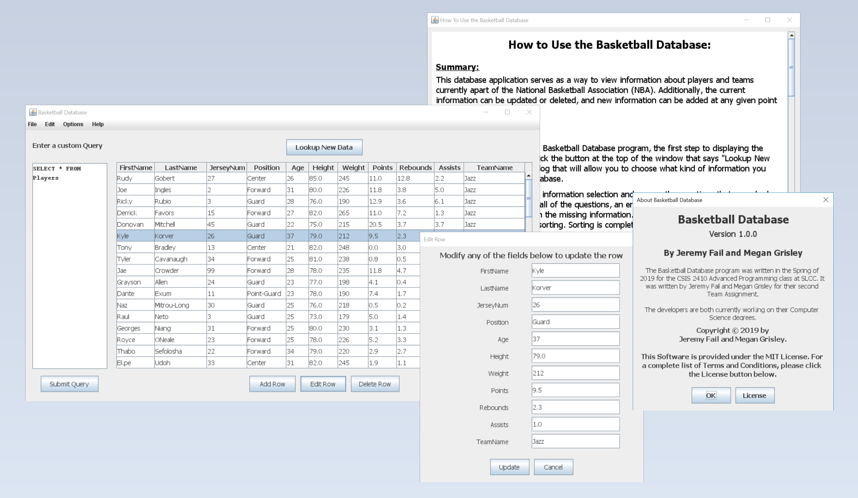 Basketball Database Screenshot