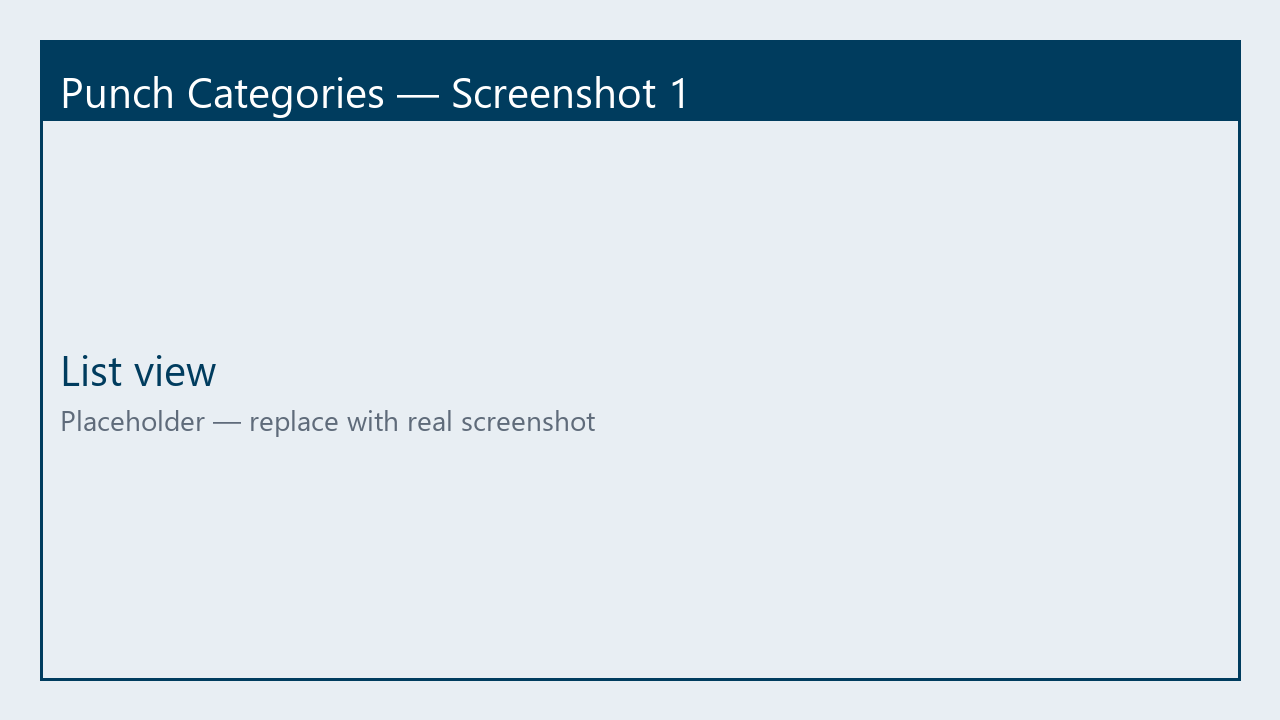 Placeholder screenshot of Punch Categories list view